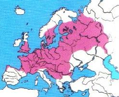 Foto: European bullhead - ocorrência