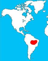 Foto: Hyacinth macaw - ocorrência