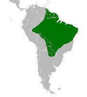 Foto: Tucanuçu - ocorrência