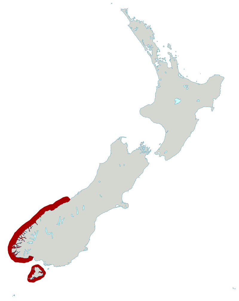 Foto: Fiordland penguin - ocorrência