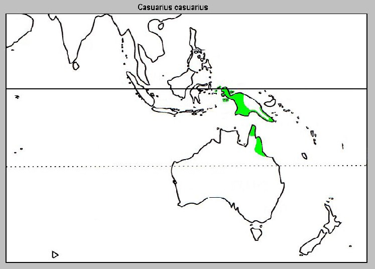 Foto: Southern cassowary - ocorrência
