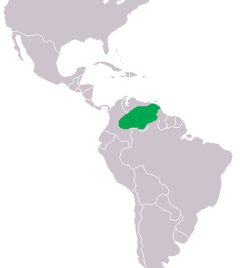 Foto: Orinoco crocodile - ocorrência