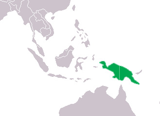 Foto: New guinea crocodile - ocorrência